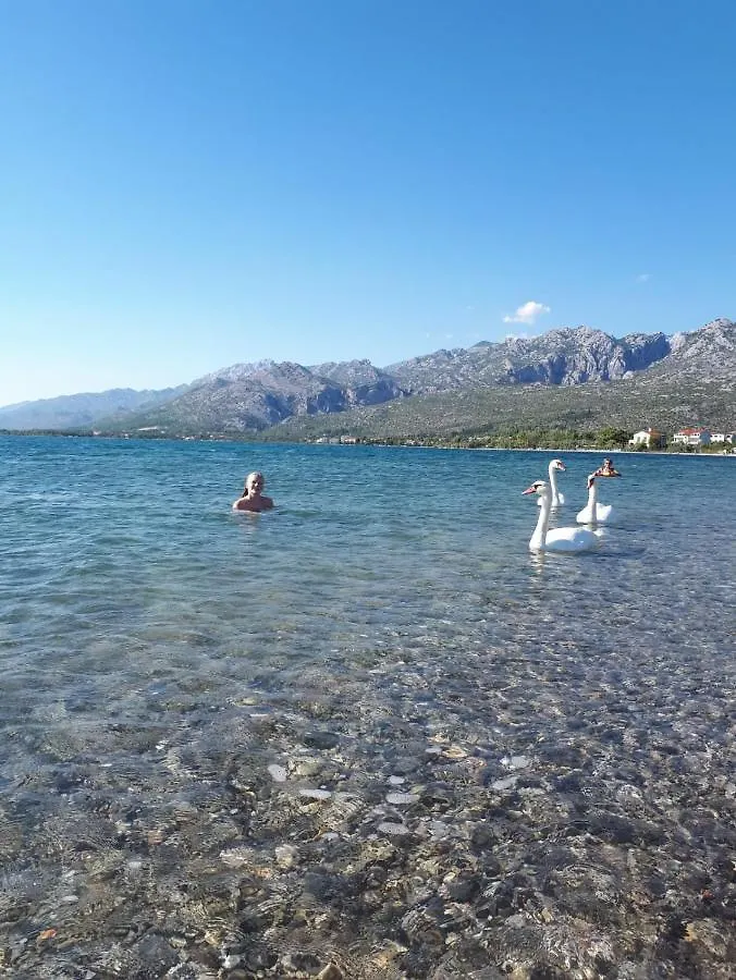 Manda&Marko Jurić Seline